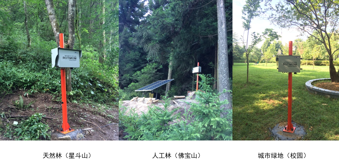 天然林、人工林、城市绿地.png 天然林、人工林、城市绿地.png